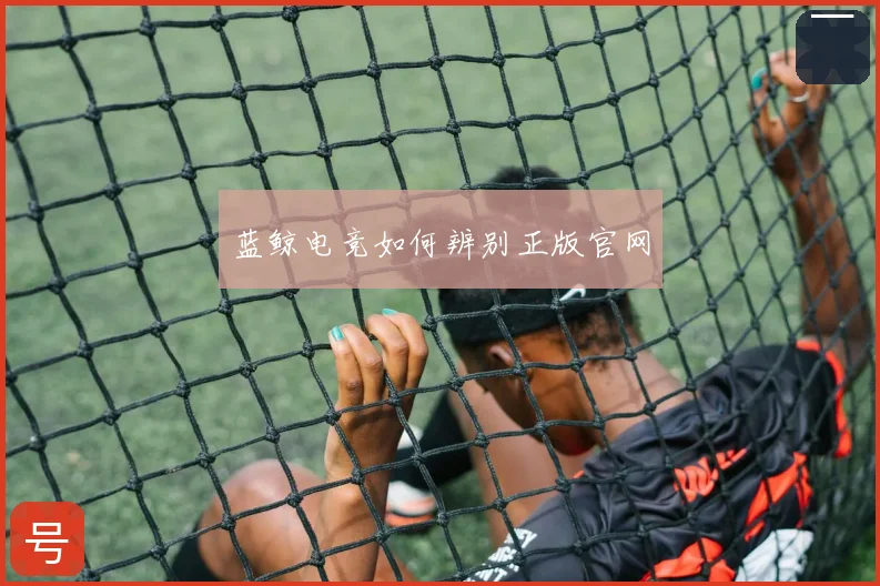 蓝鲸电竞如何辨别正版官网